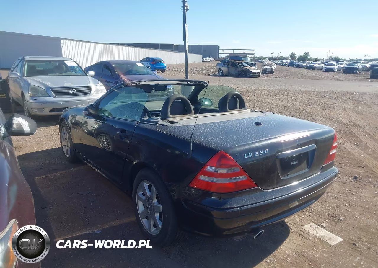 2002 Mercedes-Benz Slk 230 Kompressor VIN:WDBKK49F12F261332 - 3
