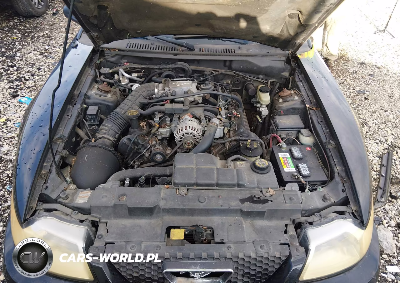 2000 Ford Mustang Gt VIN:1FAFP45XXYF275702 - 10