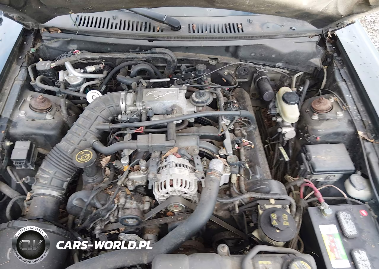 2000 Ford Mustang Gt VIN:1FAFP45XXYF275702 - 6
