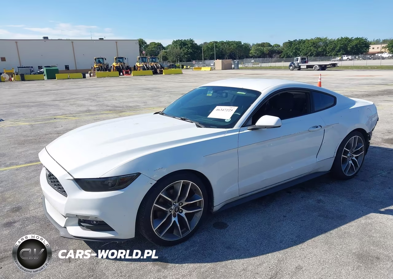 2017 Ford Mustang V6 VIN:1FA6P8AM1H5312211 - 2