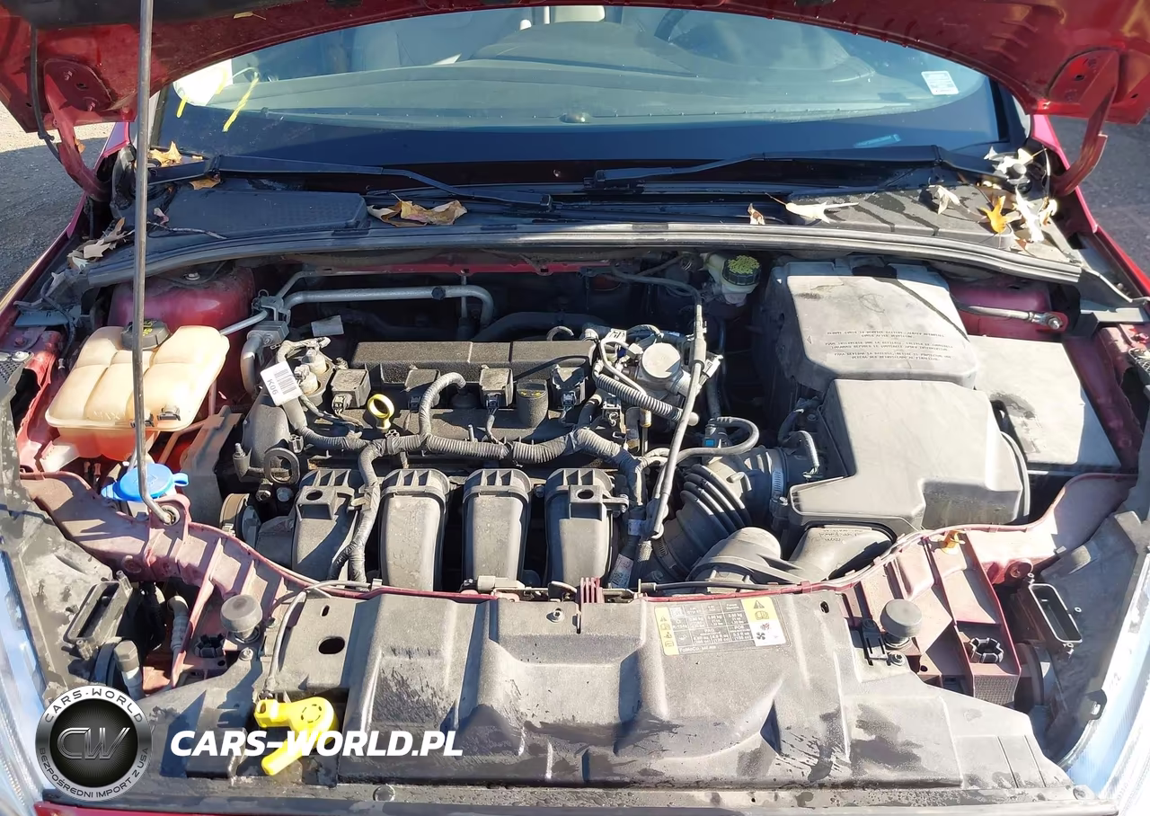 2016 Ford Focus Titanium VIN:1FADP3N20GL330504 - 10