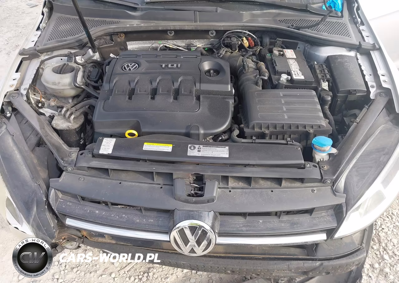 2015 Volkswagen Golf Sportwagen Tdi S 4-Door VIN:3VWCA7AU7FM514547 - 10