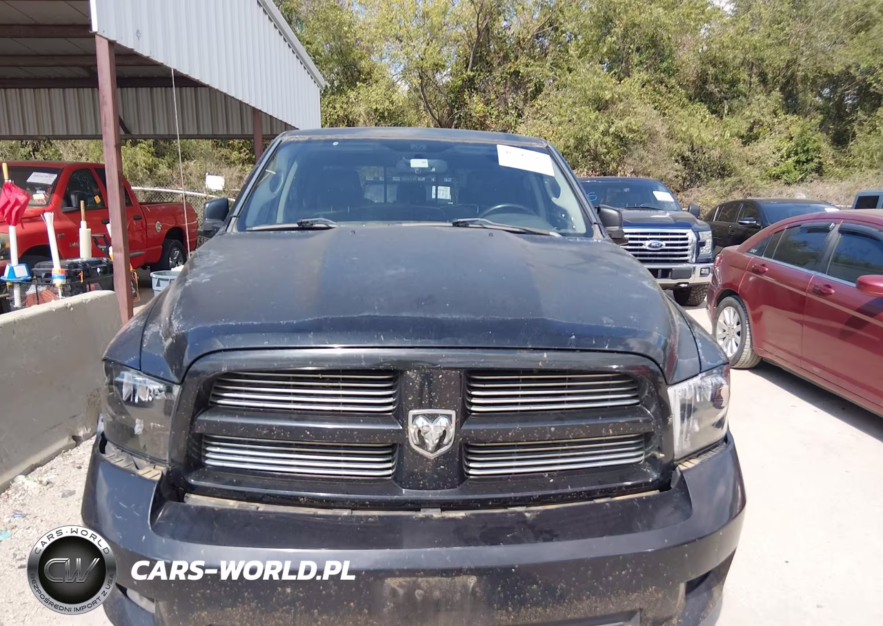 2010 Dodge Ram 1500 Slt-Sport-Trx VIN:1D7RV1CT4AS258456 - 12