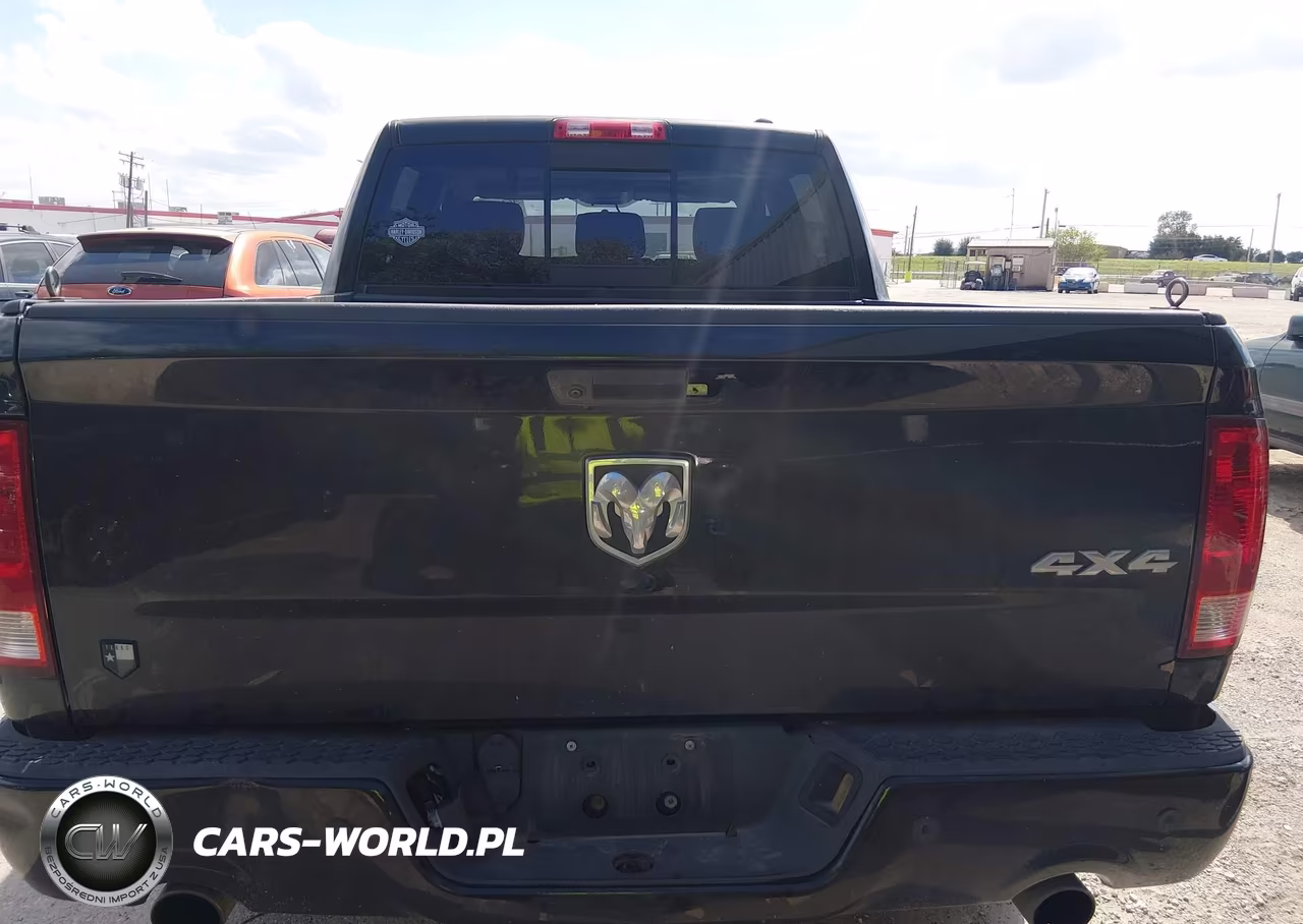 2010 Dodge Ram 1500 Slt-Sport-Trx VIN:1D7RV1CT4AS258456 - 16