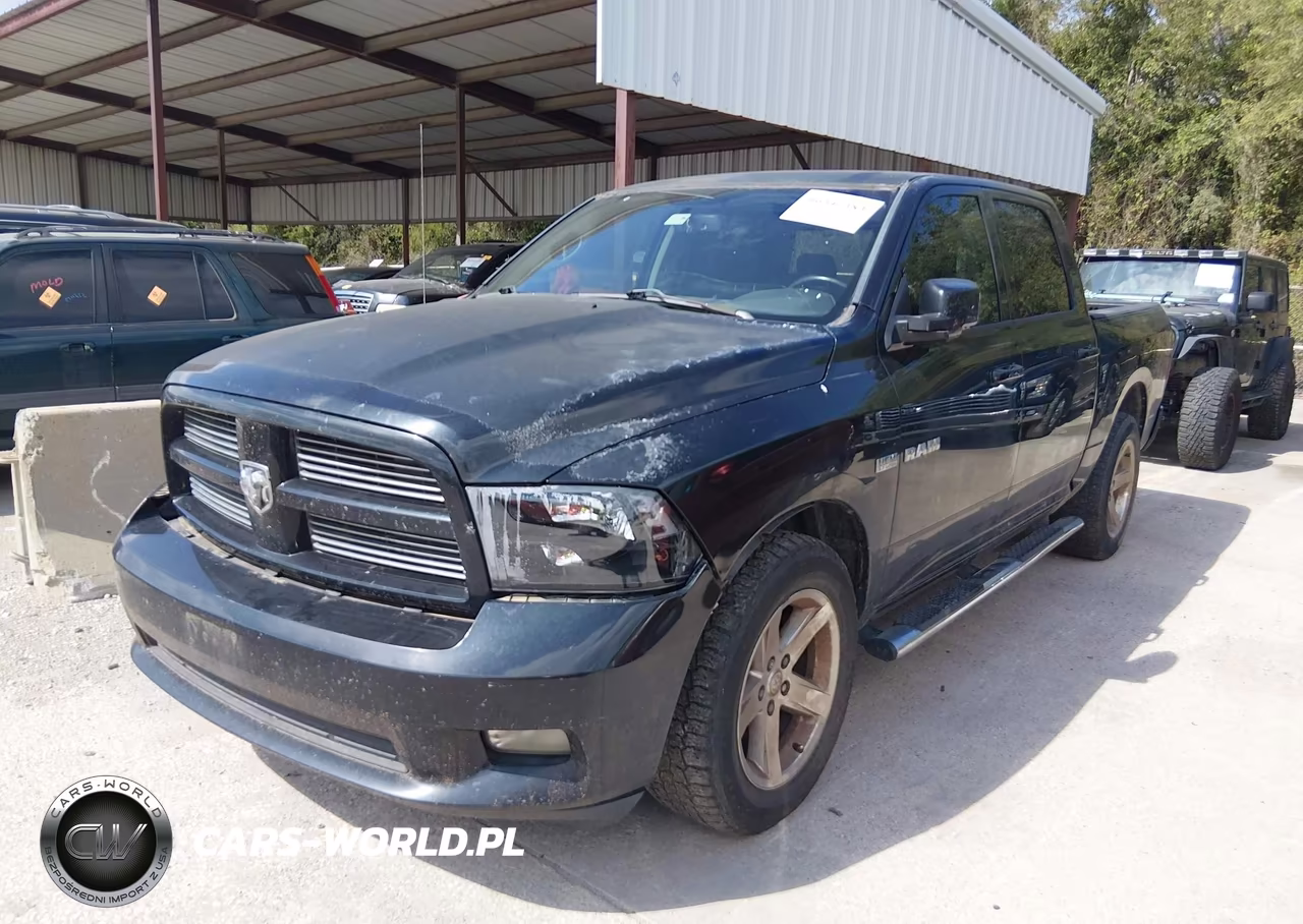 2010 Dodge Ram 1500 Slt-Sport-Trx VIN:1D7RV1CT4AS258456 - 2