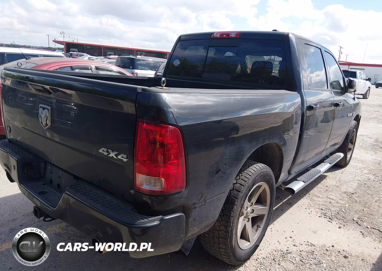 2010 Dodge Ram 1500 Slt-Sport-Trx VIN:1D7RV1CT4AS258456 - 4