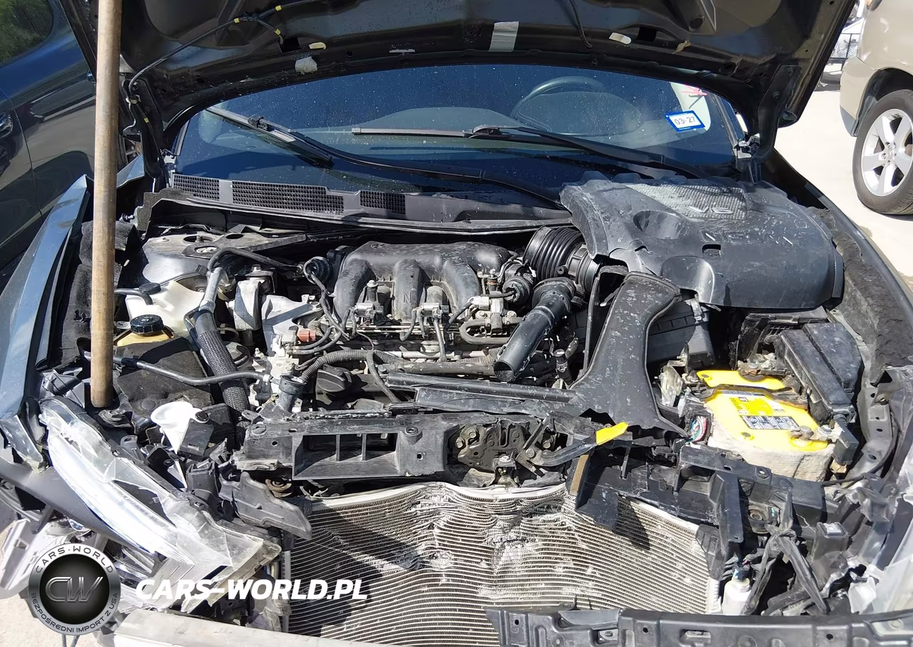 NISSAN MAXIMA VIN:1N4AA6AP7GC449092 - 10
