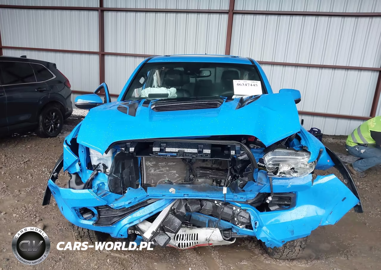 2019 Toyota Tacoma Trd Pro VIN:5TFCZ5AN1KX182280 - 12