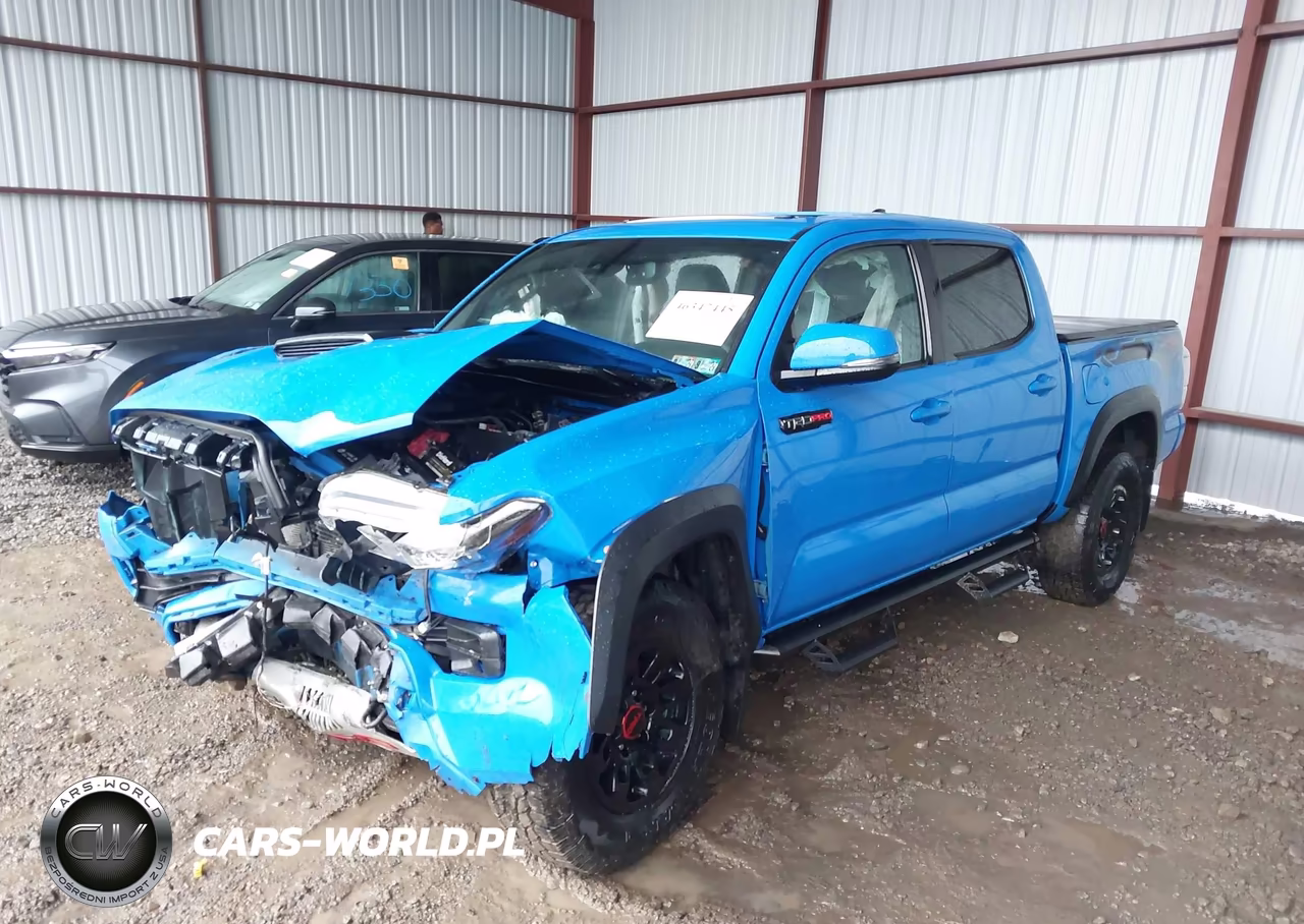 2019 Toyota Tacoma Trd Pro VIN:5TFCZ5AN1KX182280 - 2