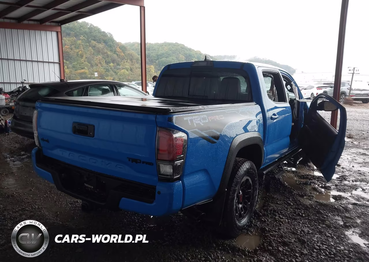 2019 Toyota Tacoma Trd Pro VIN:5TFCZ5AN1KX182280 - 4