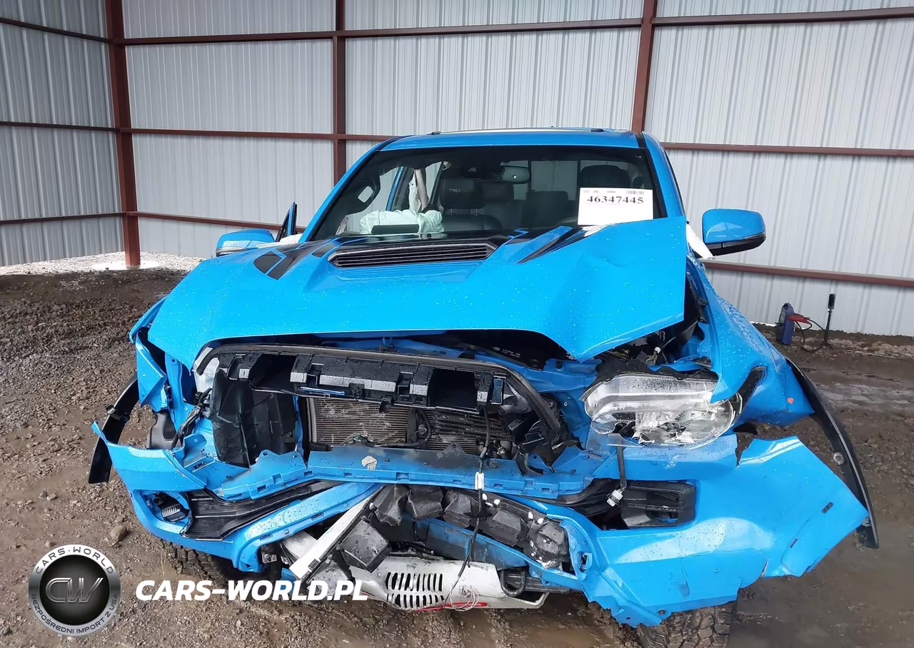 2019 Toyota Tacoma Trd Pro VIN:5TFCZ5AN1KX182280 - 6