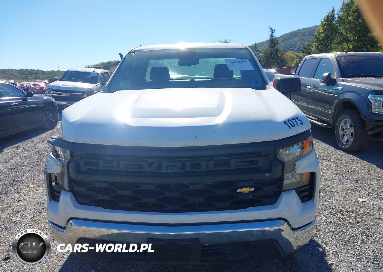 2023 Chevrolet Silverado 1500 2Wd Long Bed Wt VIN:3GCNAAED2PG295449 - 13