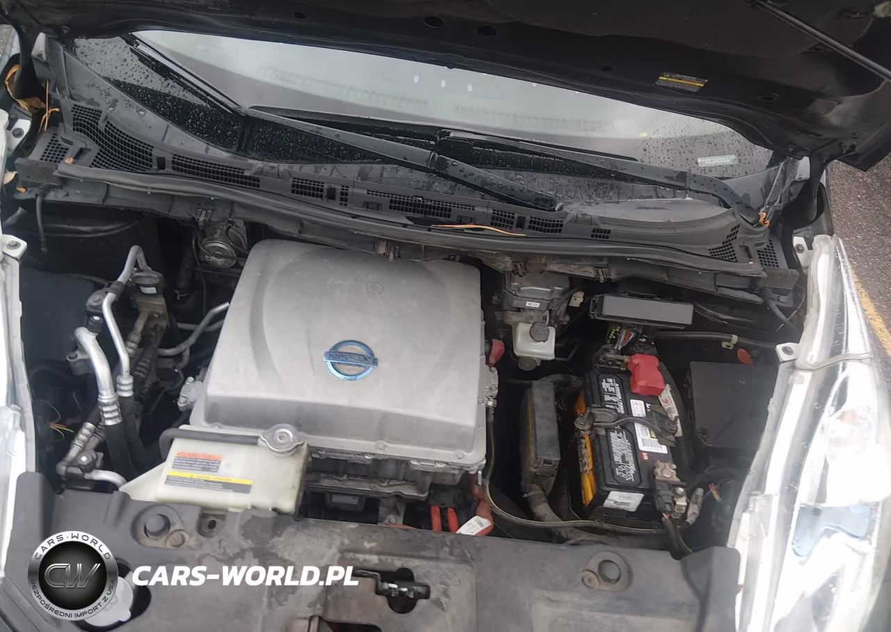 2013 Nissan Leaf Sv VIN:1N4AZ0CPXDC414349 - 10