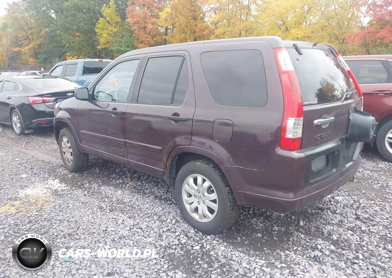 2005 Honda Cr-V Ex VIN:JHLRD78805C057662 - 3