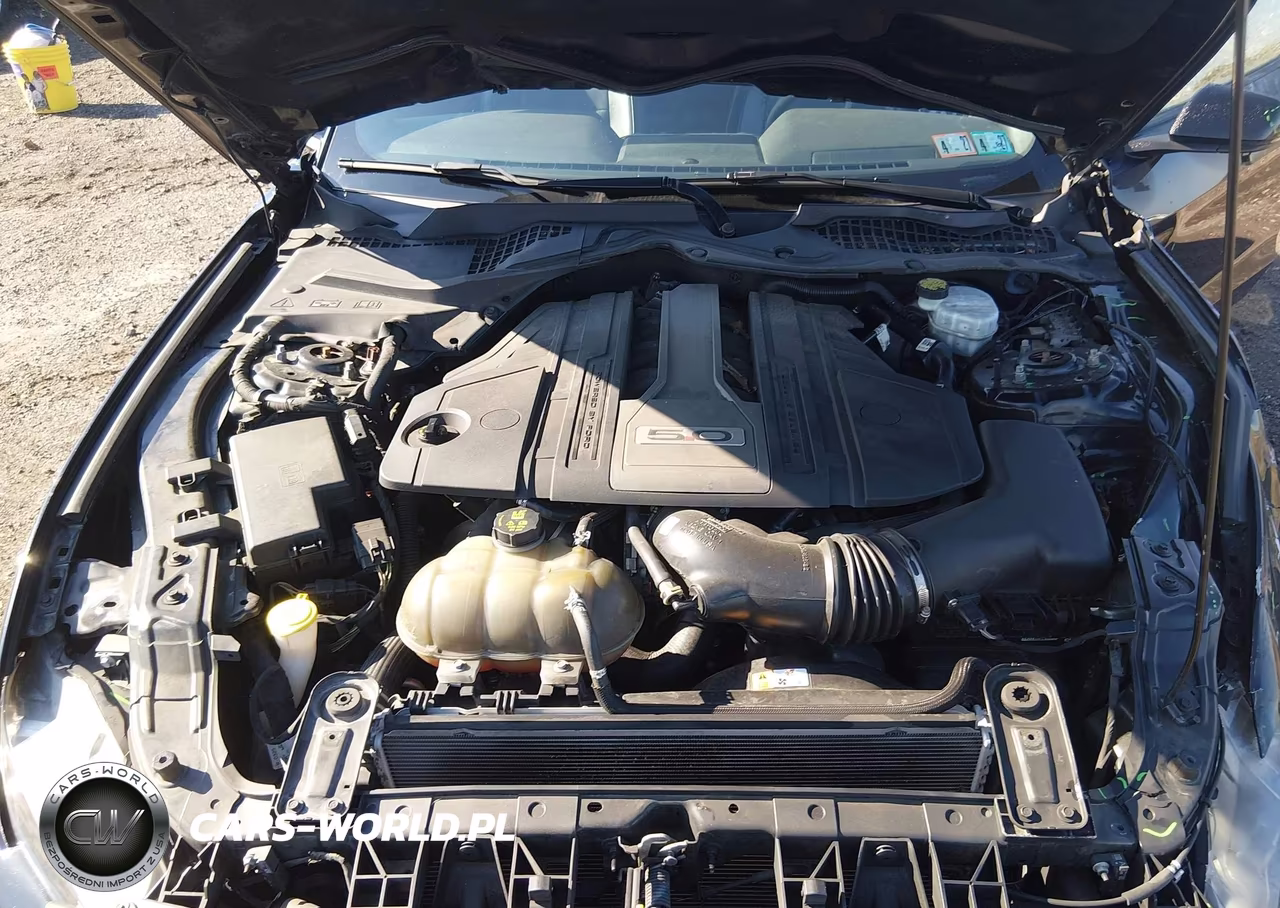 2018 Ford Mustang Gt Premium VIN:1FA6P8CF6J5125728 - 10
