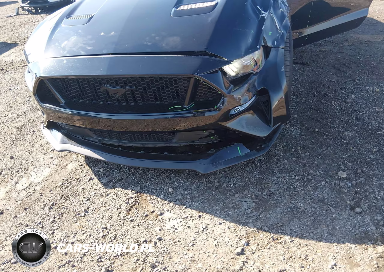 2018 Ford Mustang Gt Premium VIN:1FA6P8CF6J5125728 - 17