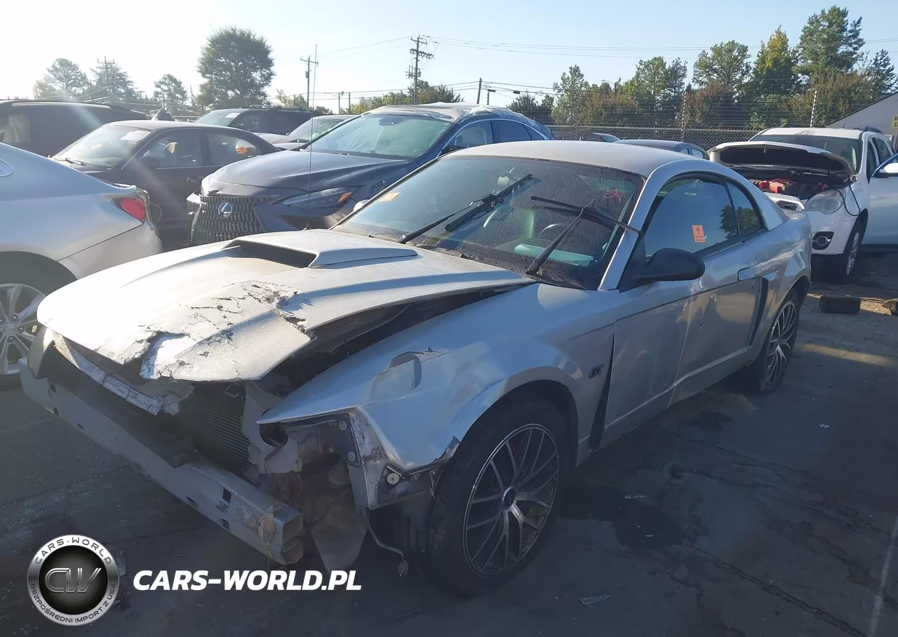 2003 Ford Mustang Gt VIN:1FAFP42X93F451409 - 2