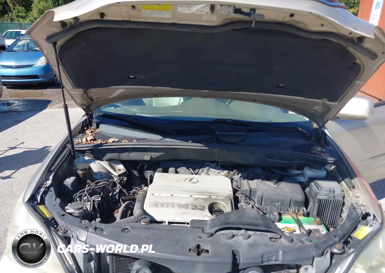 2004 Lexus Rx 330 VIN:2T2HA31U34C030068 - 10