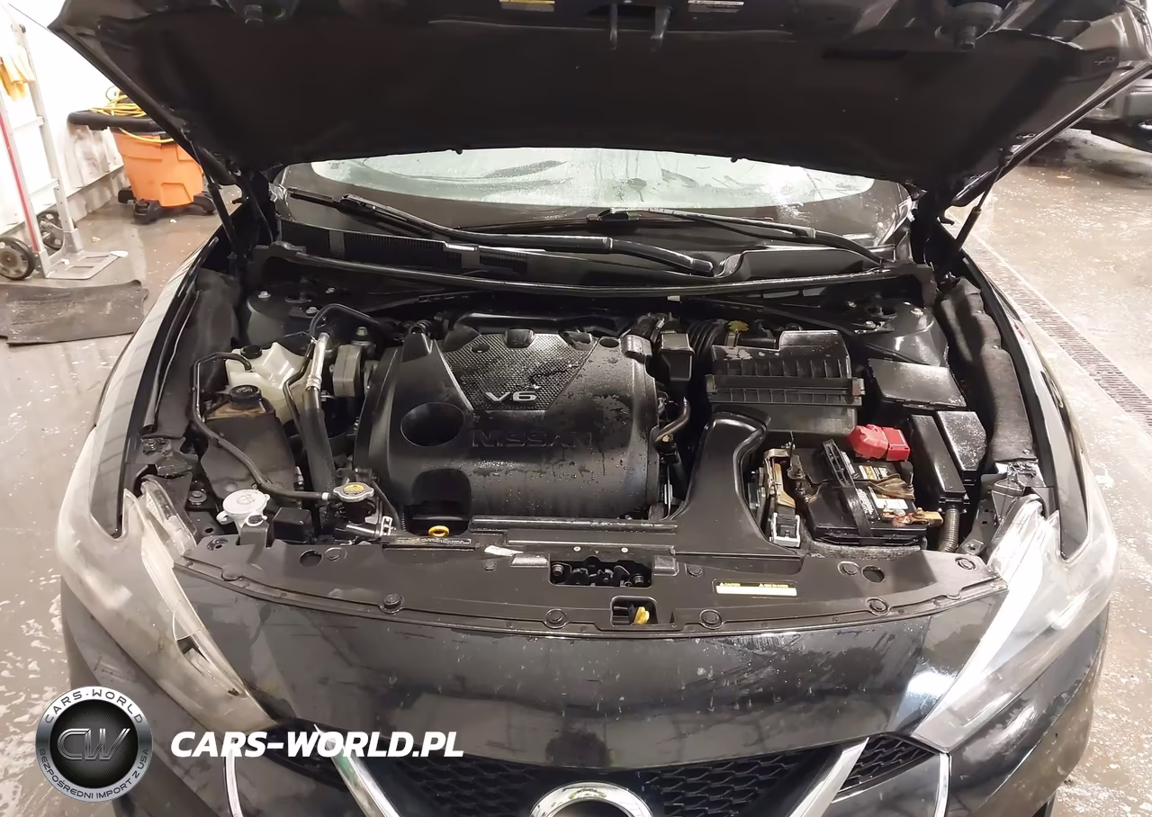 2018 Nissan Maxima 3.5 Platinum VIN:1N4AA6AP9JC386617 - 10