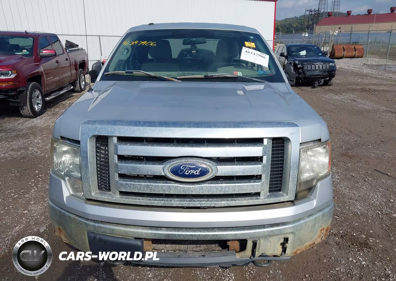2010 Ford F-150 Fx4-Lariat-Xl-Xlt VIN:1FTFX1EV4AFD02745 - 12