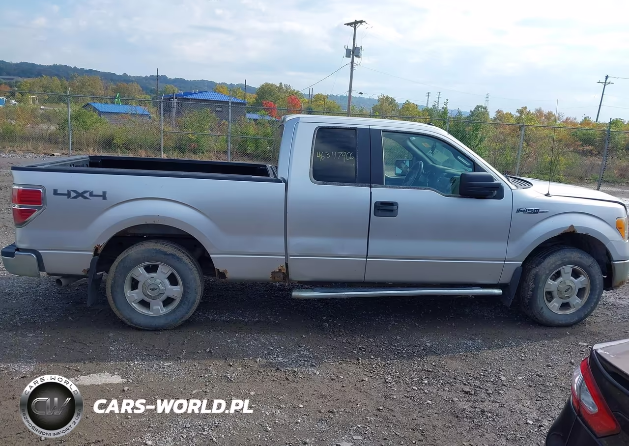 2010 Ford F-150 Fx4-Lariat-Xl-Xlt VIN:1FTFX1EV4AFD02745 - 13