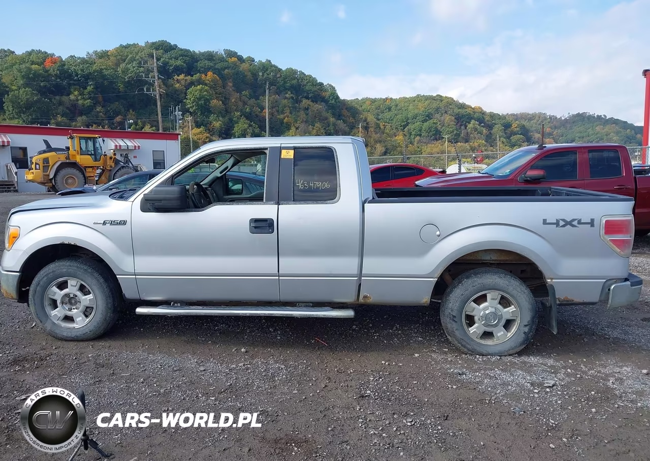 2010 Ford F-150 Fx4-Lariat-Xl-Xlt VIN:1FTFX1EV4AFD02745 - 14
