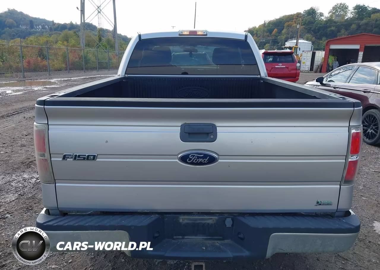 2010 Ford F-150 Fx4-Lariat-Xl-Xlt VIN:1FTFX1EV4AFD02745 - 16