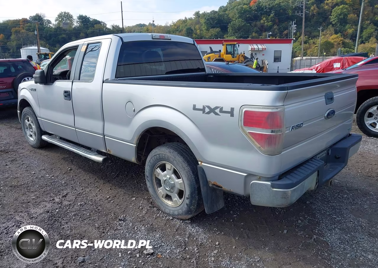 2010 Ford F-150 Fx4-Lariat-Xl-Xlt VIN:1FTFX1EV4AFD02745 - 3