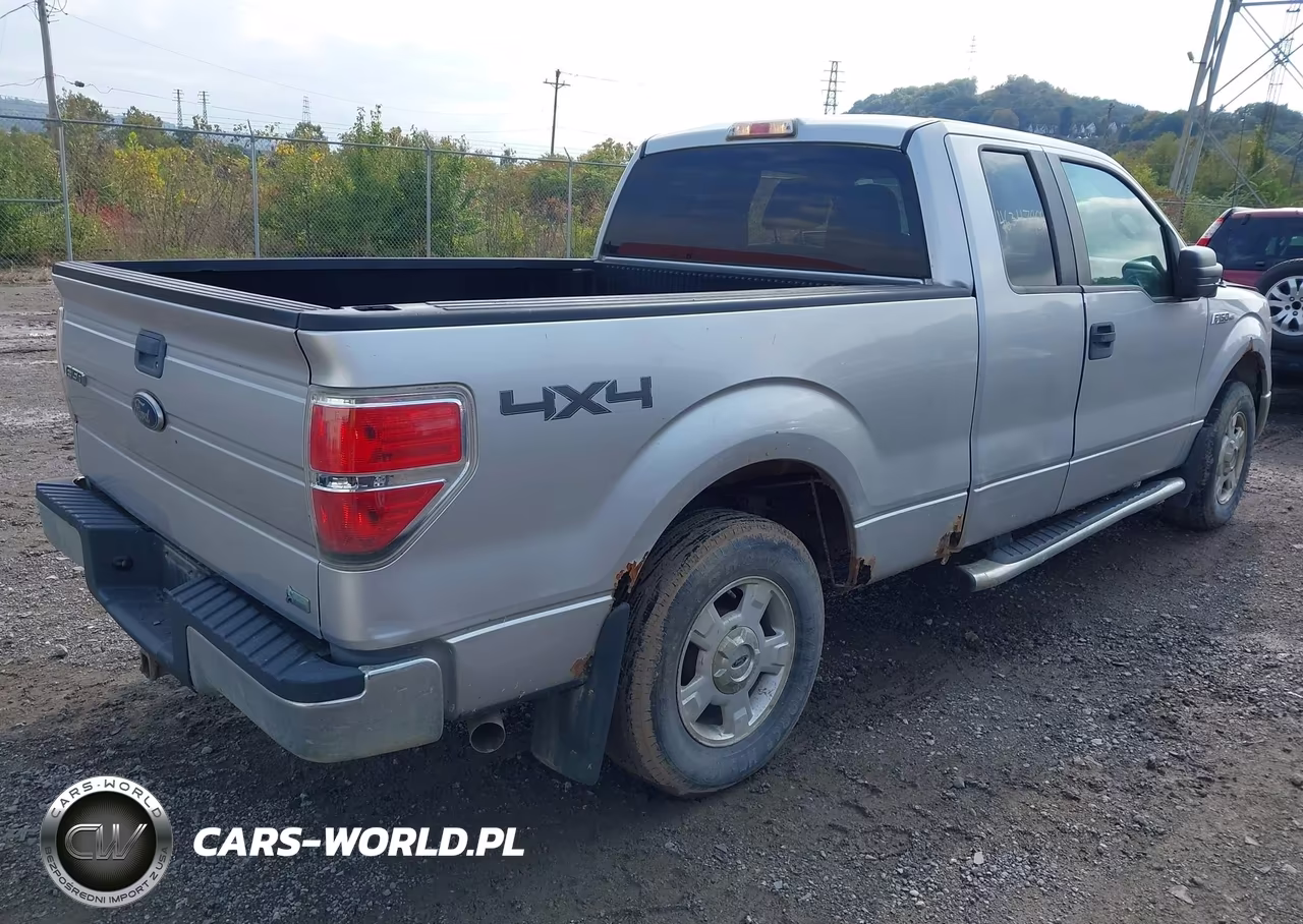 2010 Ford F-150 Fx4-Lariat-Xl-Xlt VIN:1FTFX1EV4AFD02745 - 4
