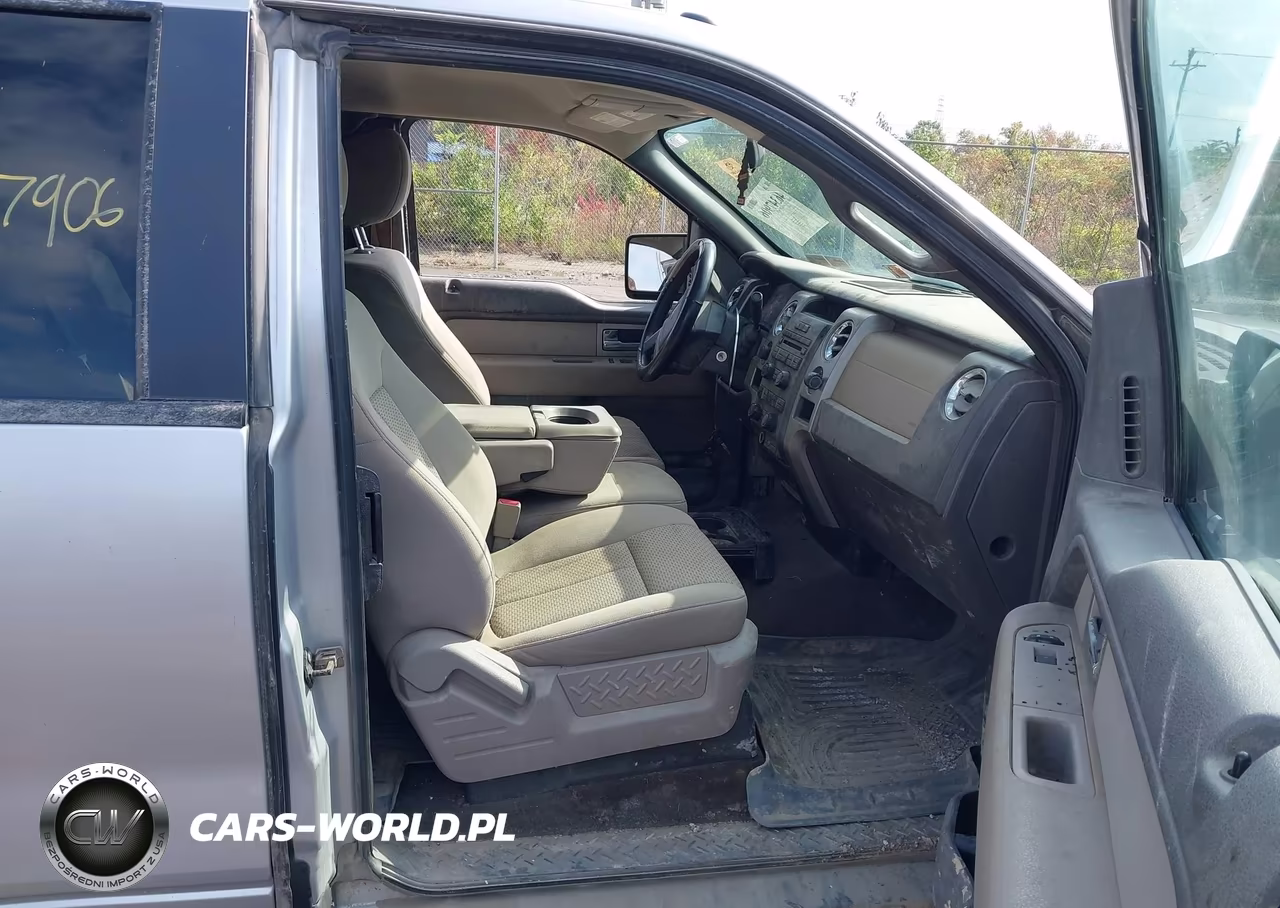 2010 Ford F-150 Fx4-Lariat-Xl-Xlt VIN:1FTFX1EV4AFD02745 - 5