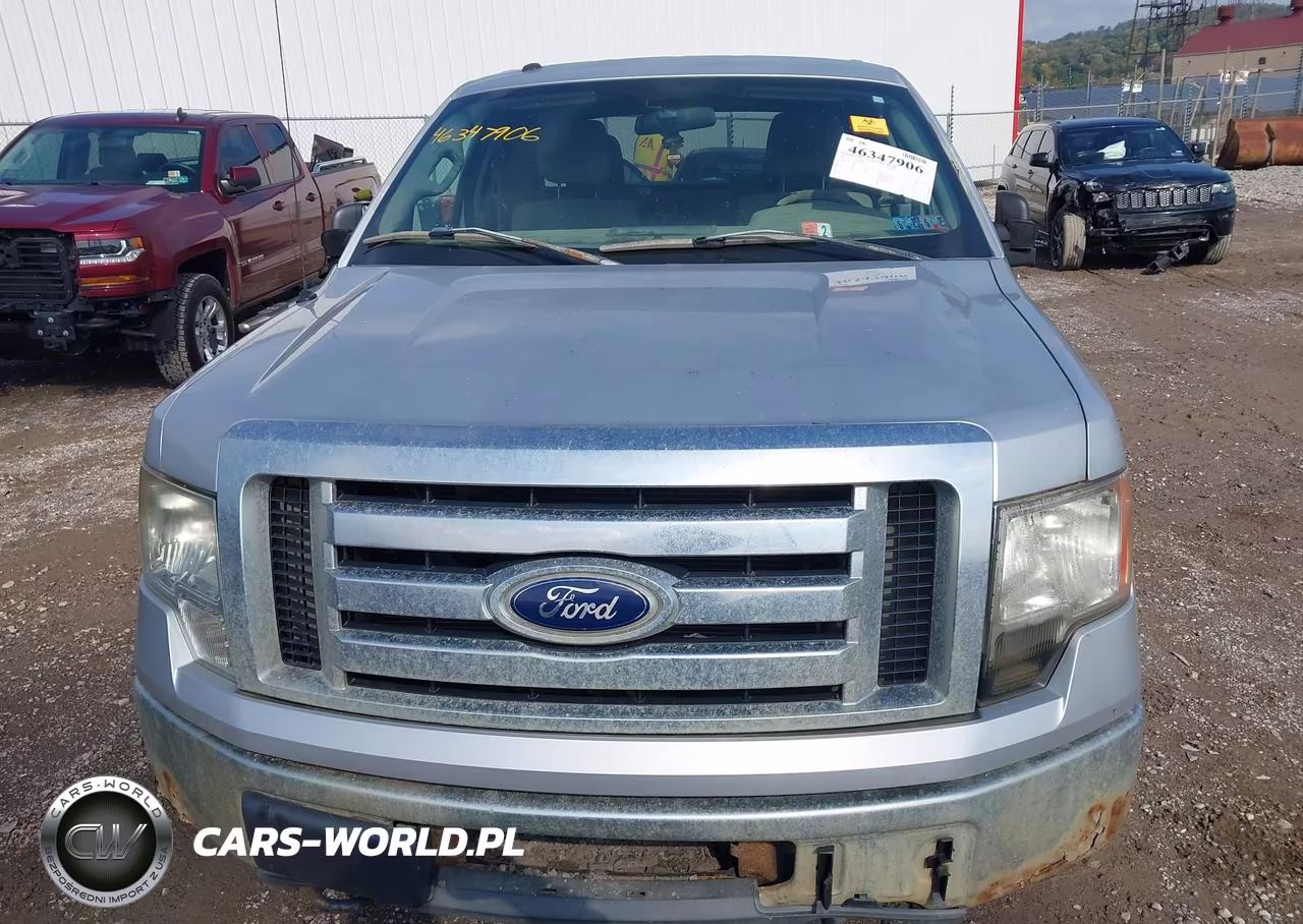 2010 Ford F-150 Fx4-Lariat-Xl-Xlt VIN:1FTFX1EV4AFD02745 - 6