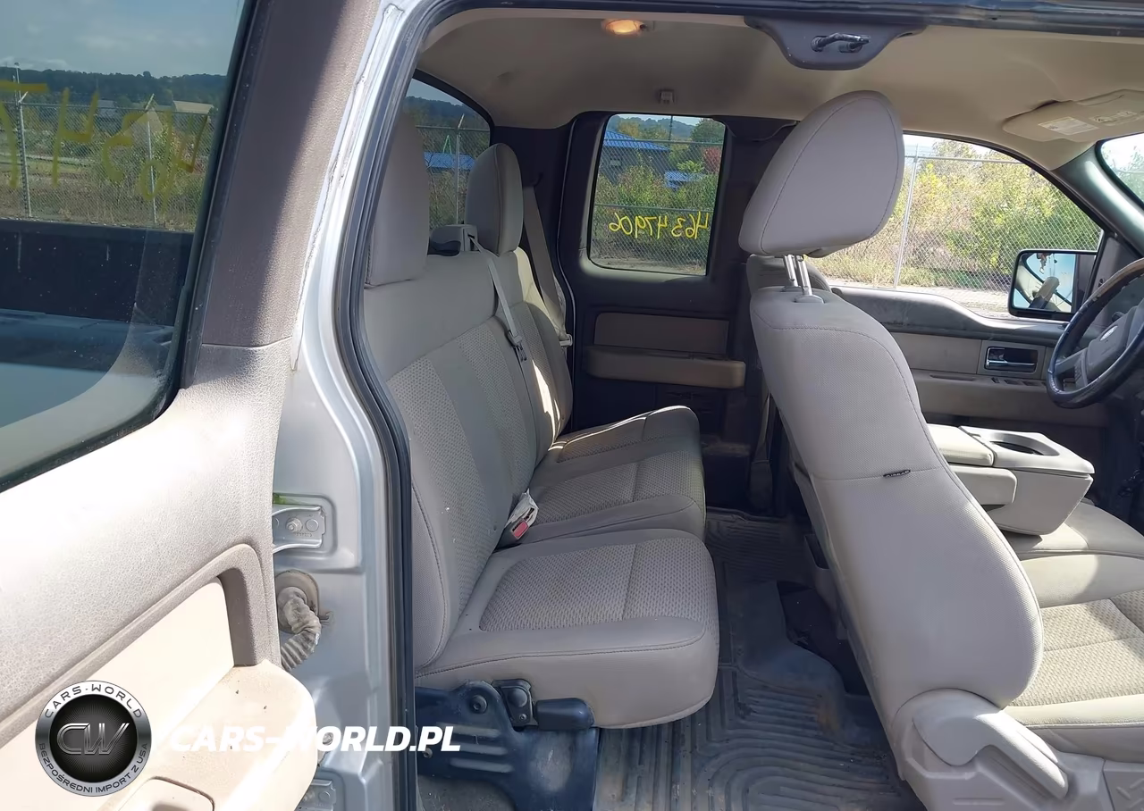 2010 Ford F-150 Fx4-Lariat-Xl-Xlt VIN:1FTFX1EV4AFD02745 - 8