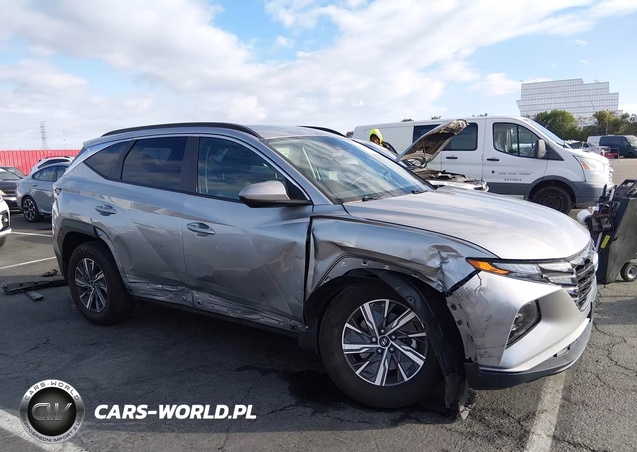 2024 Hyundai Tucson Hybrid Blue VIN:KM8JBCD11RU150302 - 13