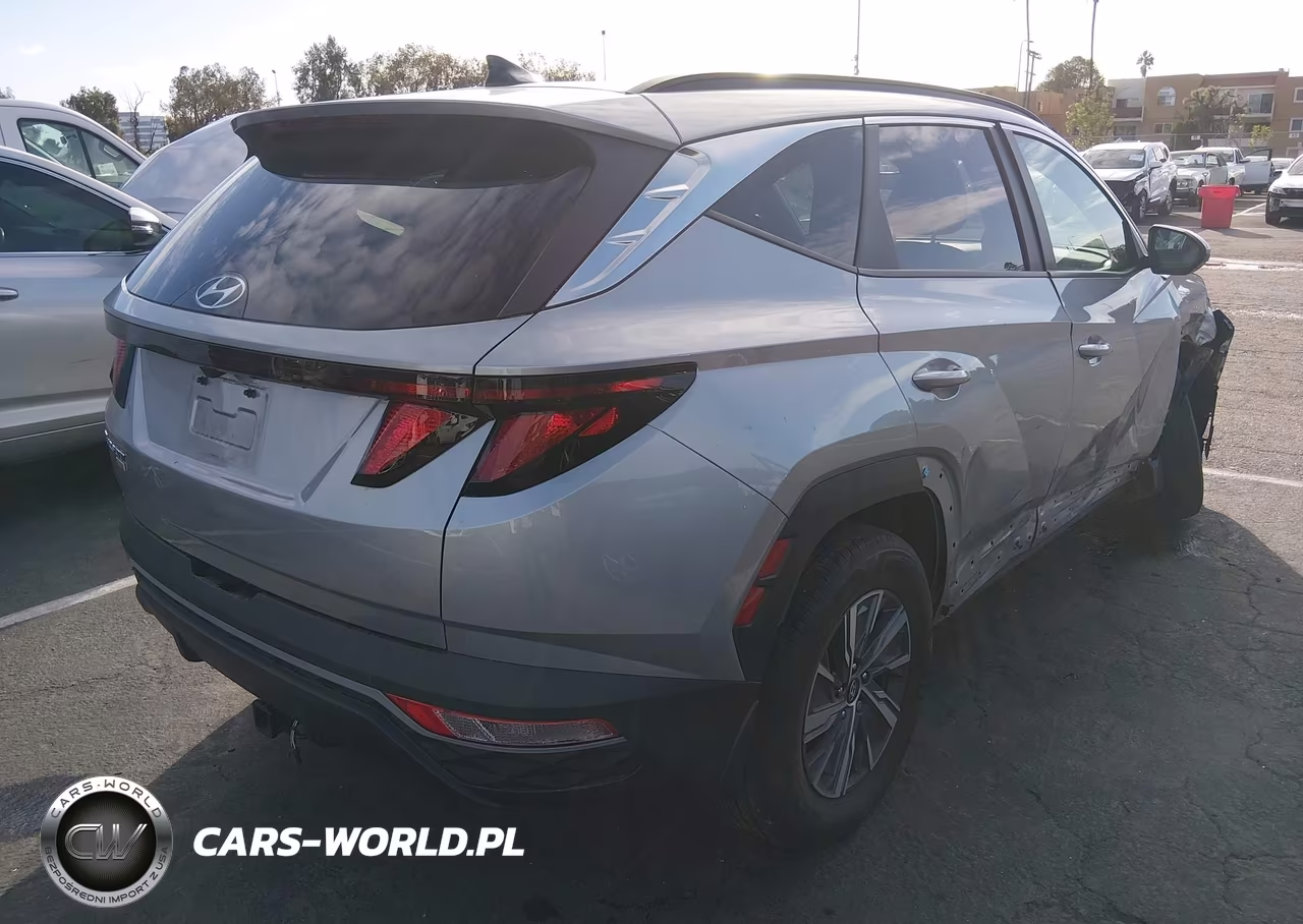 2024 Hyundai Tucson Hybrid Blue VIN:KM8JBCD11RU150302 - 4
