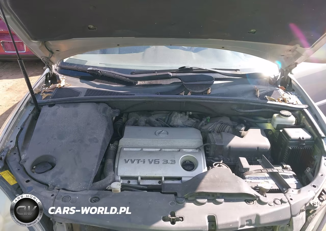 2005 Lexus Rx 330 VIN:2T2GA31U55C036998 - 10
