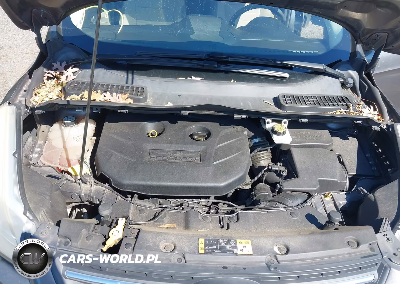 2013 Ford Escape Se VIN:1FMCU0G99DUB51340 - 10