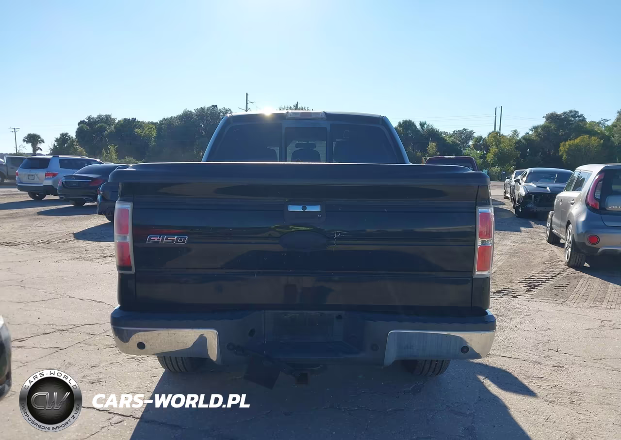 2011 Ford F-150 Xlt VIN:1FTFW1ET4BFC86002 - 17