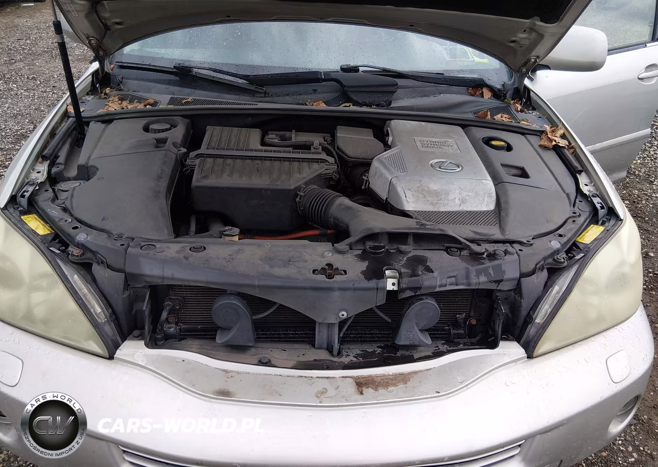 2006 Lexus Rx 400H VIN:JTJHW31U560015734 - 10