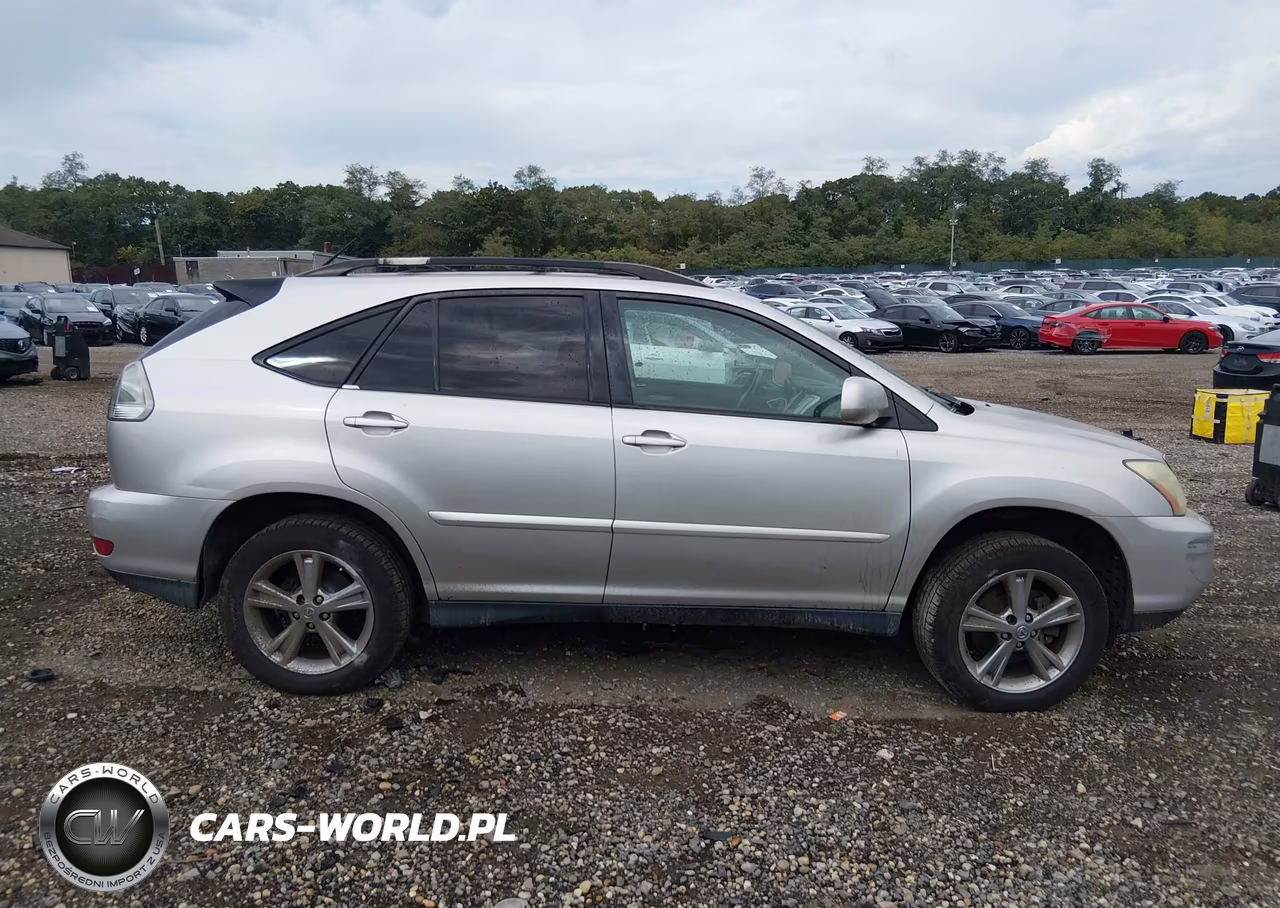 2006 Lexus Rx 400H VIN:JTJHW31U560015734 - 13