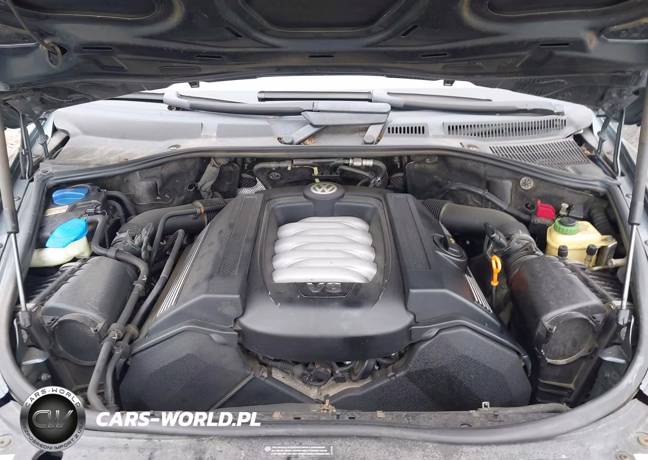 2005 Volkswagen Touareg V8 VIN:WVGZM77L95D080916 - 10