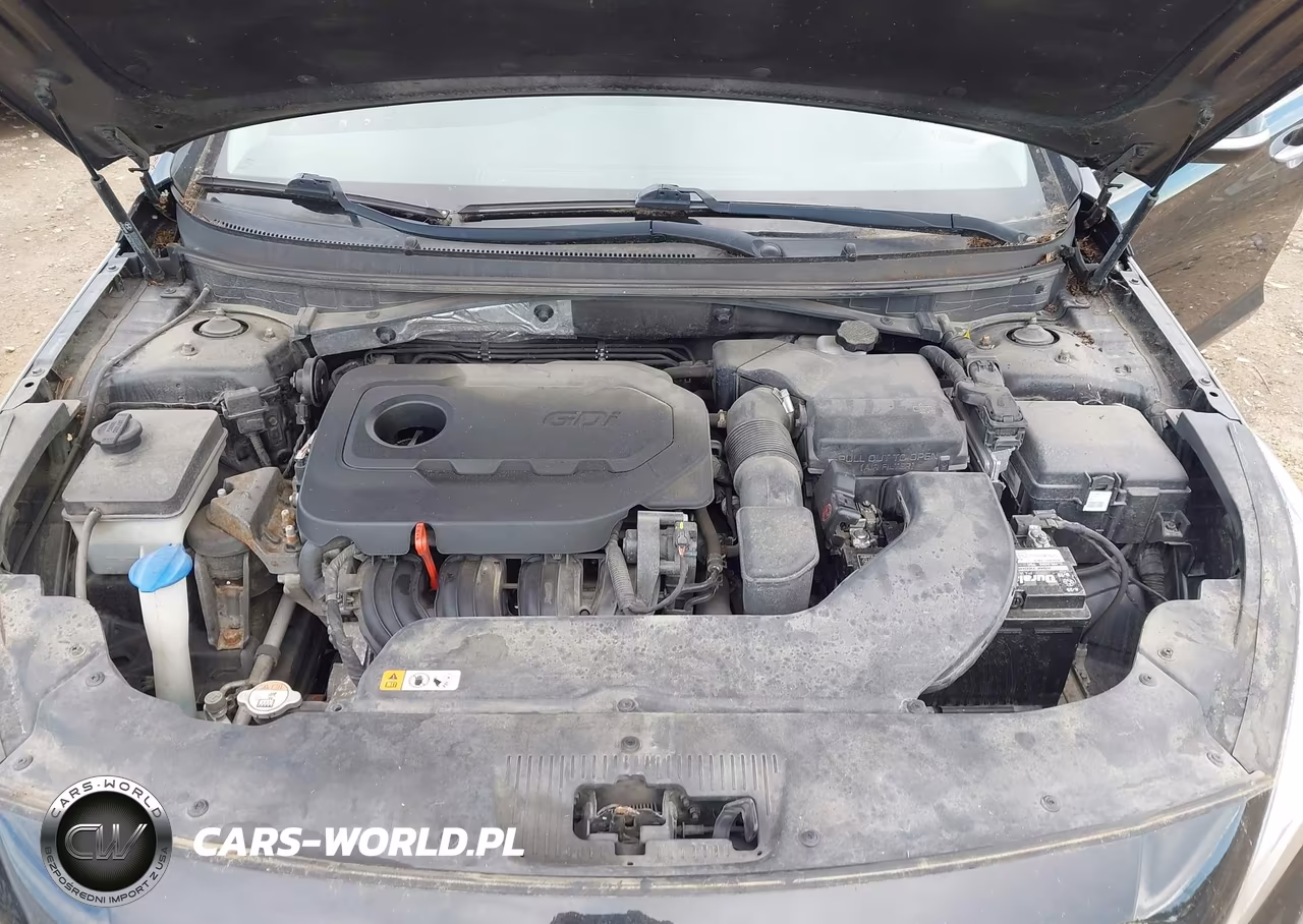 2016 Hyundai Sonata Sport VIN:5NPE34AF4GH337615 - 10