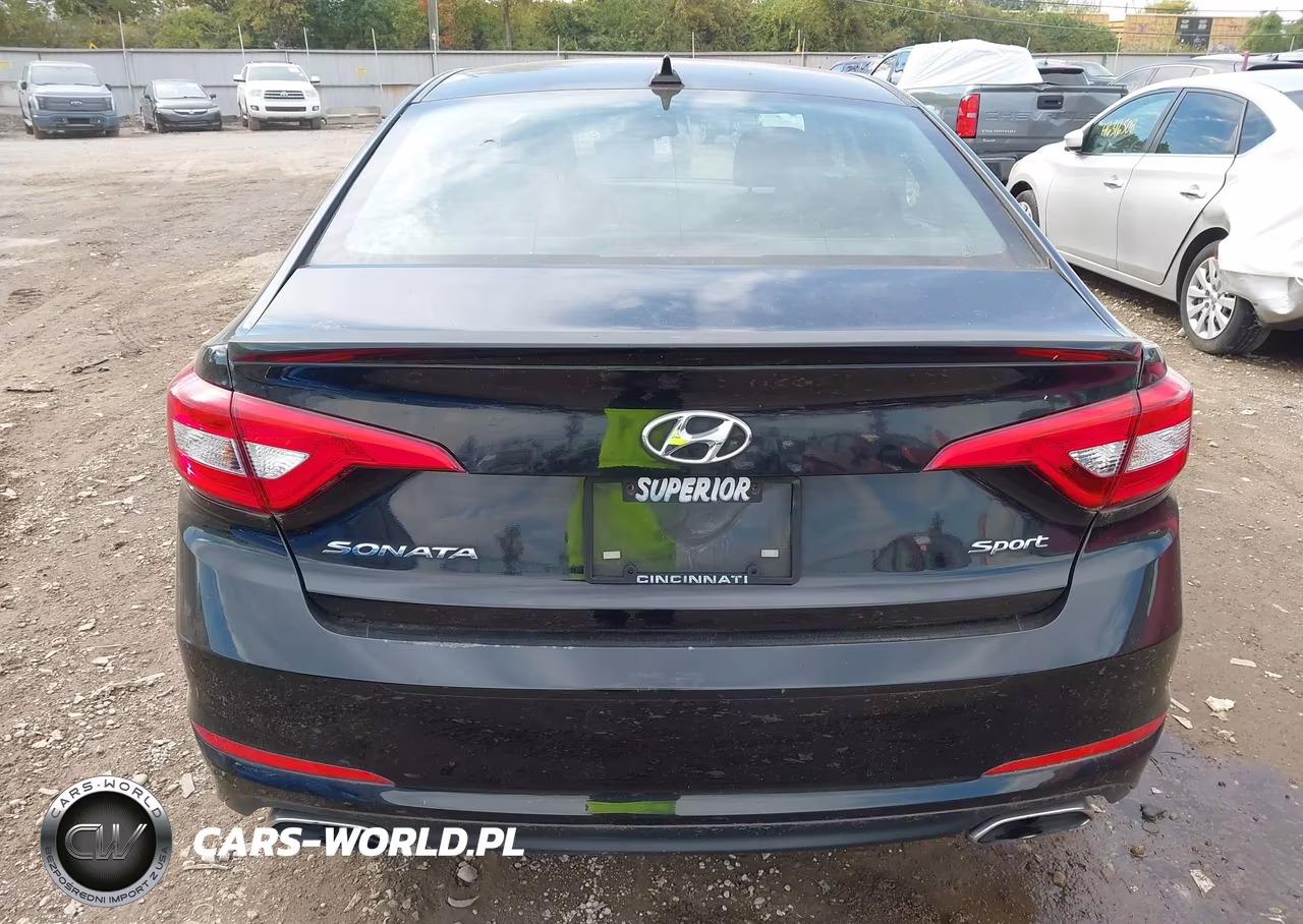 2016 Hyundai Sonata Sport VIN:5NPE34AF4GH337615 - 16