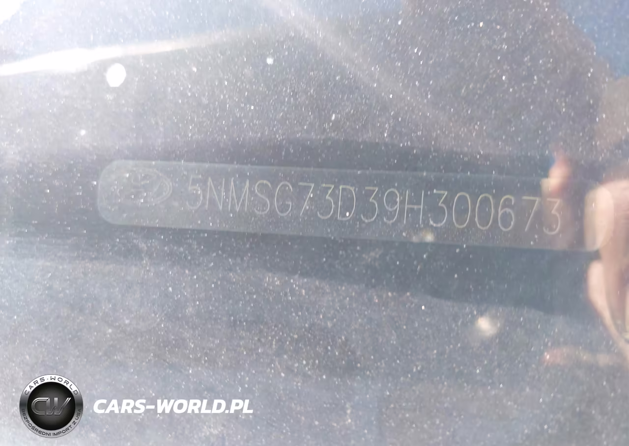 2009 Hyundai Santa Fe Gls VIN:5NMSG73D39H300673 - 12