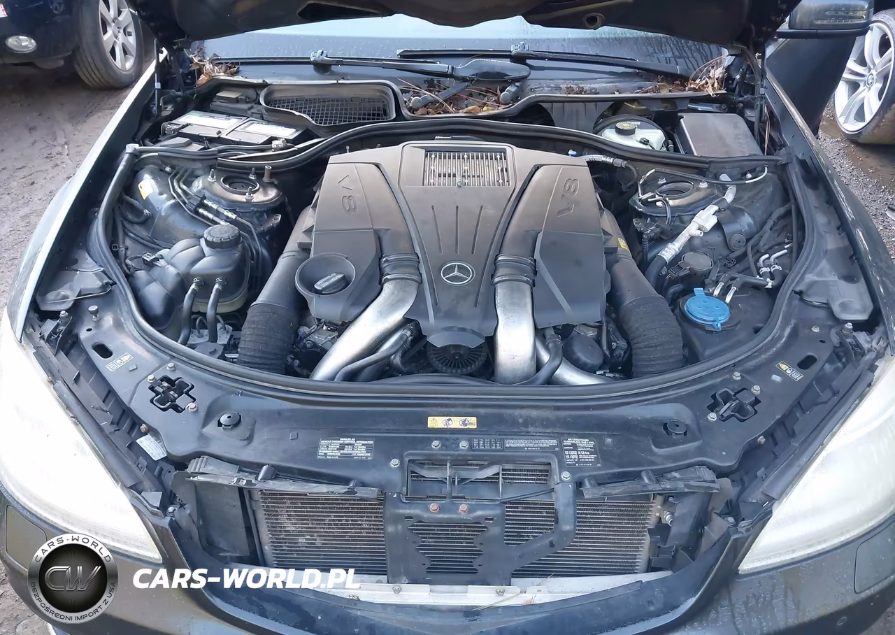 2013 Mercedes-Benz S 550 4Matic VIN:WDDNG9EB7DA528771 - 10