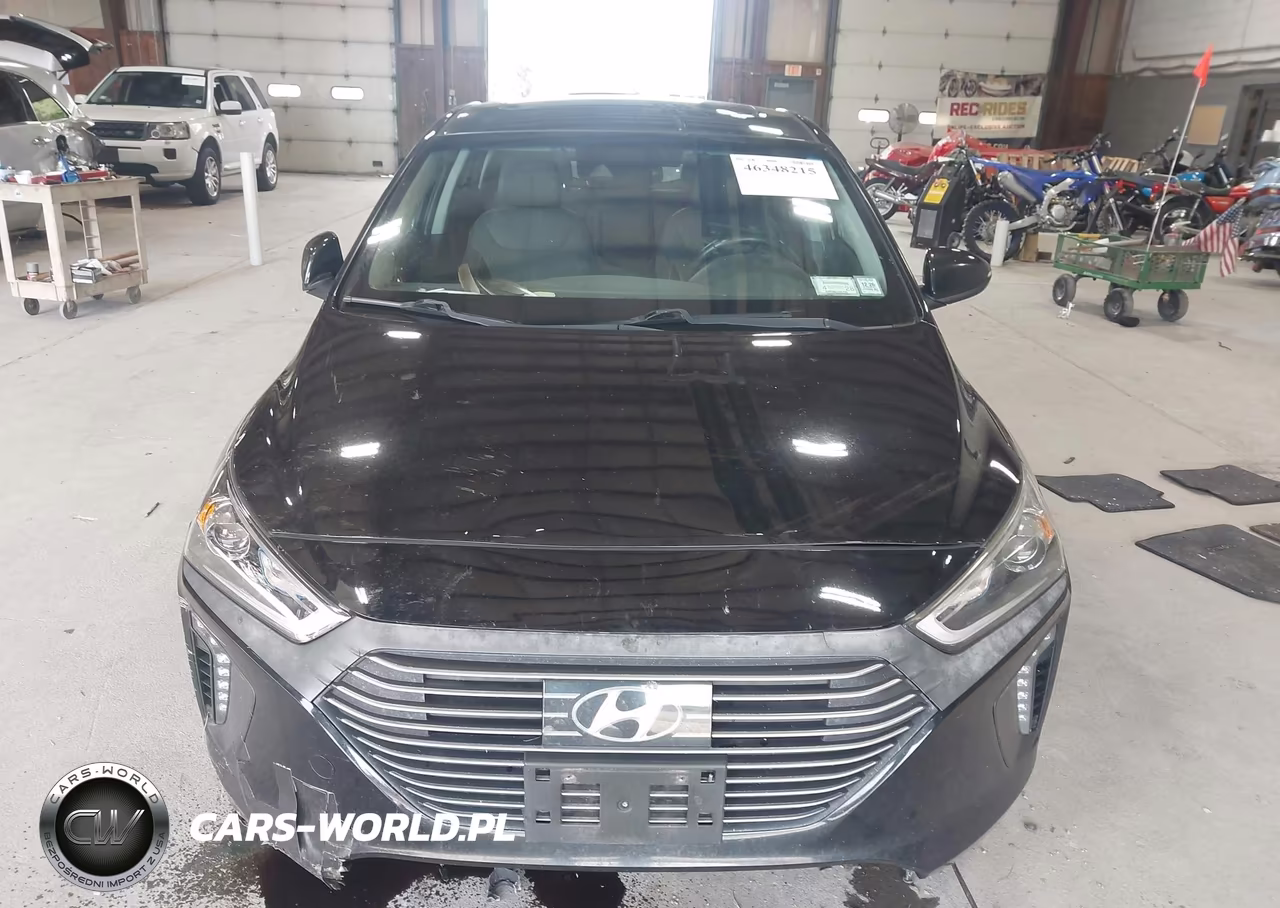 2019 Hyundai Ioniq Hybrid Limited VIN:KMHC85LC0KU128741 - 12