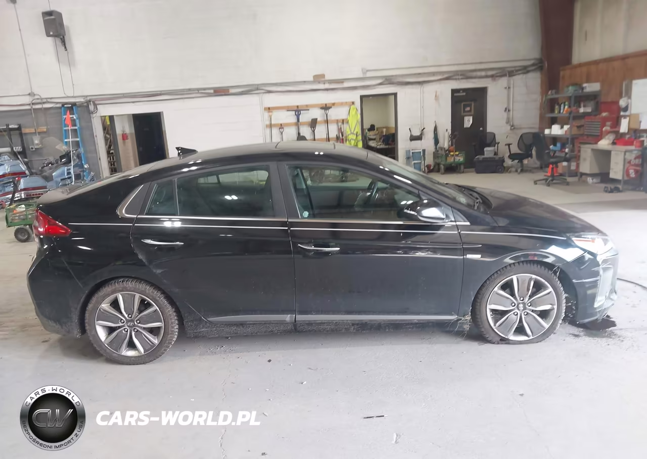2019 Hyundai Ioniq Hybrid Limited VIN:KMHC85LC0KU128741 - 13