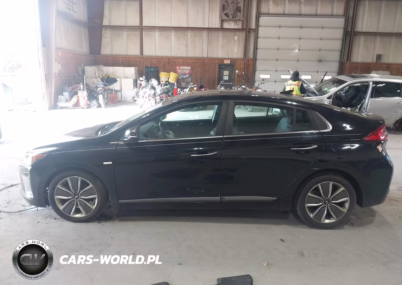2019 Hyundai Ioniq Hybrid Limited VIN:KMHC85LC0KU128741 - 14
