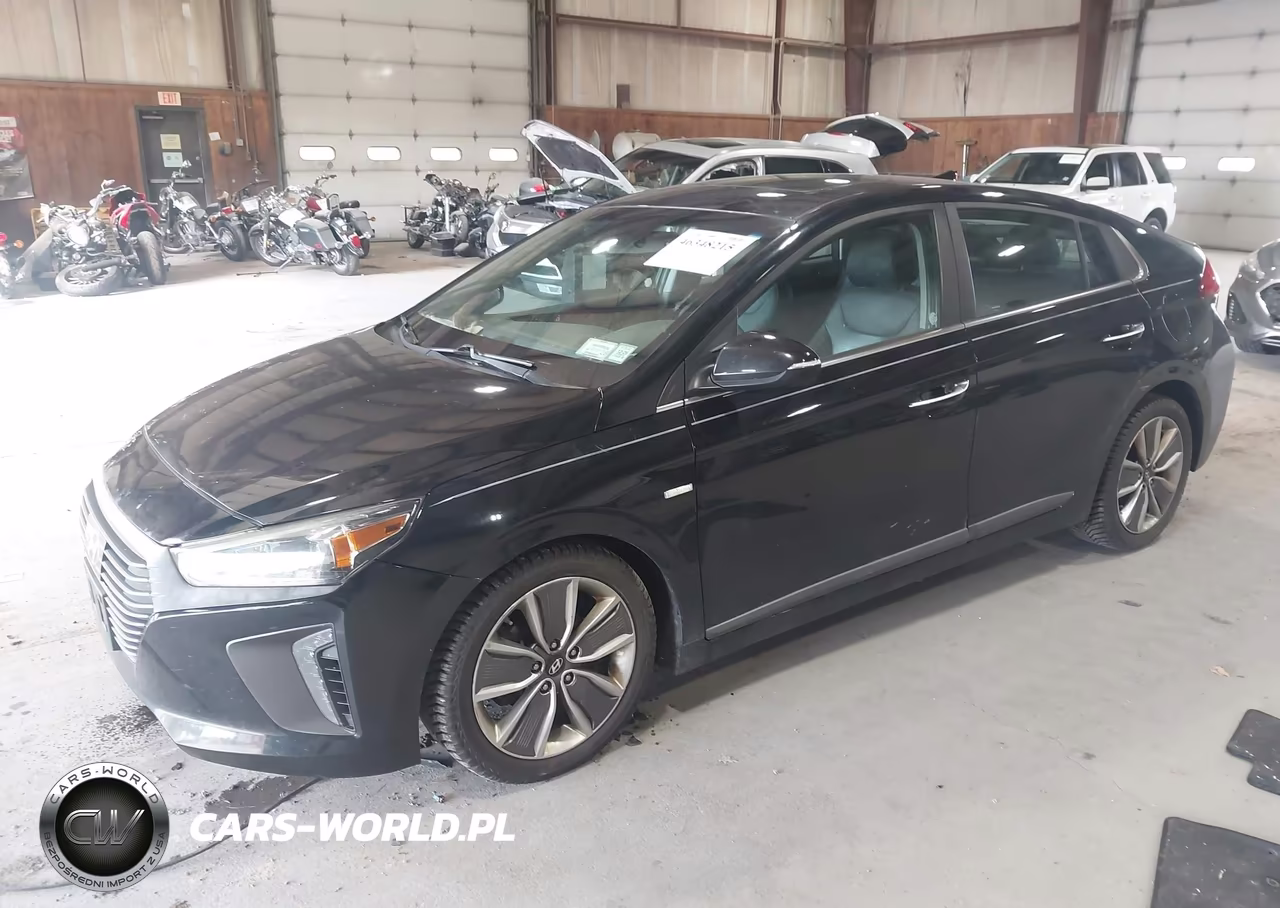 2019 Hyundai Ioniq Hybrid Limited VIN:KMHC85LC0KU128741 - 2