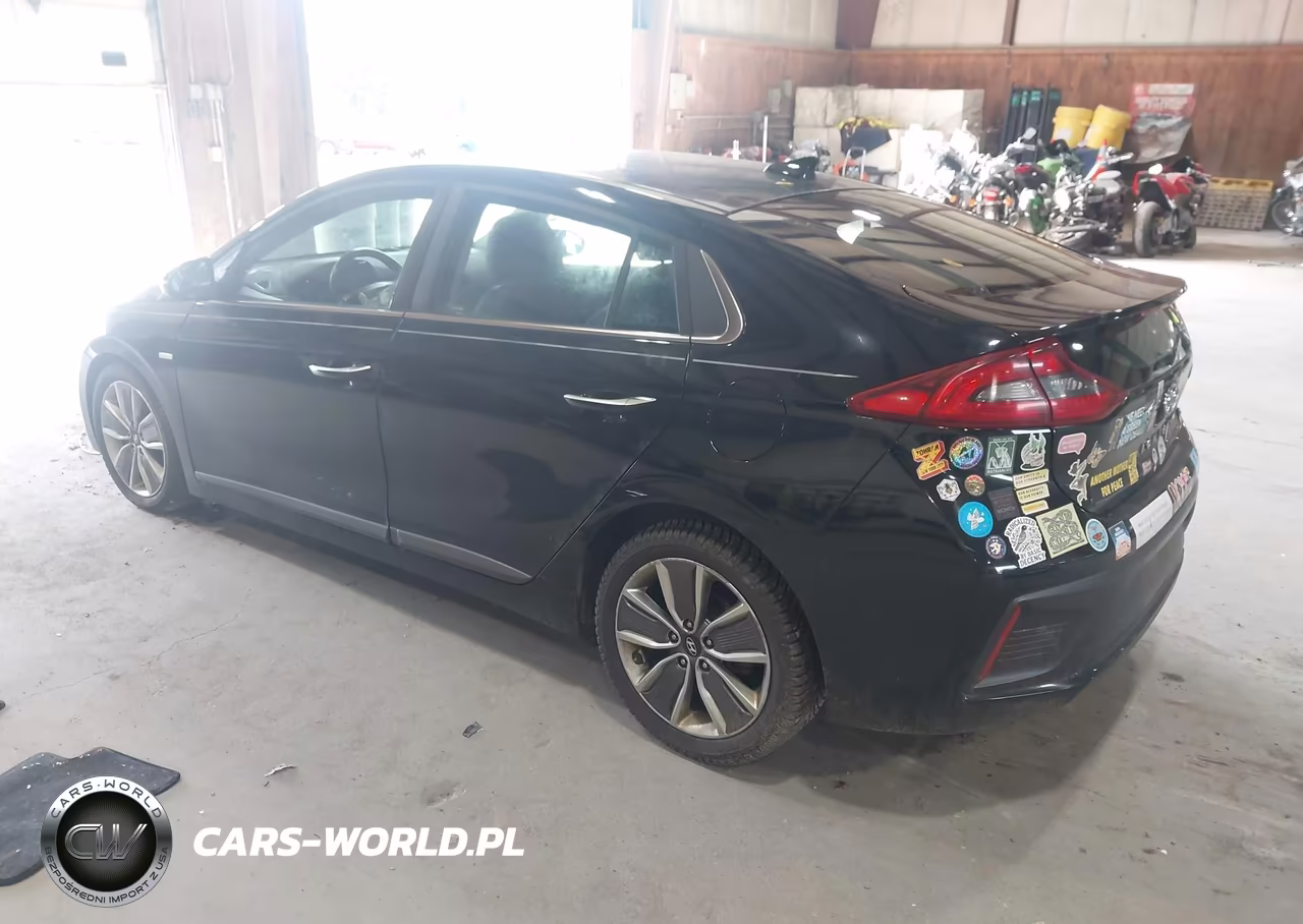2019 Hyundai Ioniq Hybrid Limited VIN:KMHC85LC0KU128741 - 3