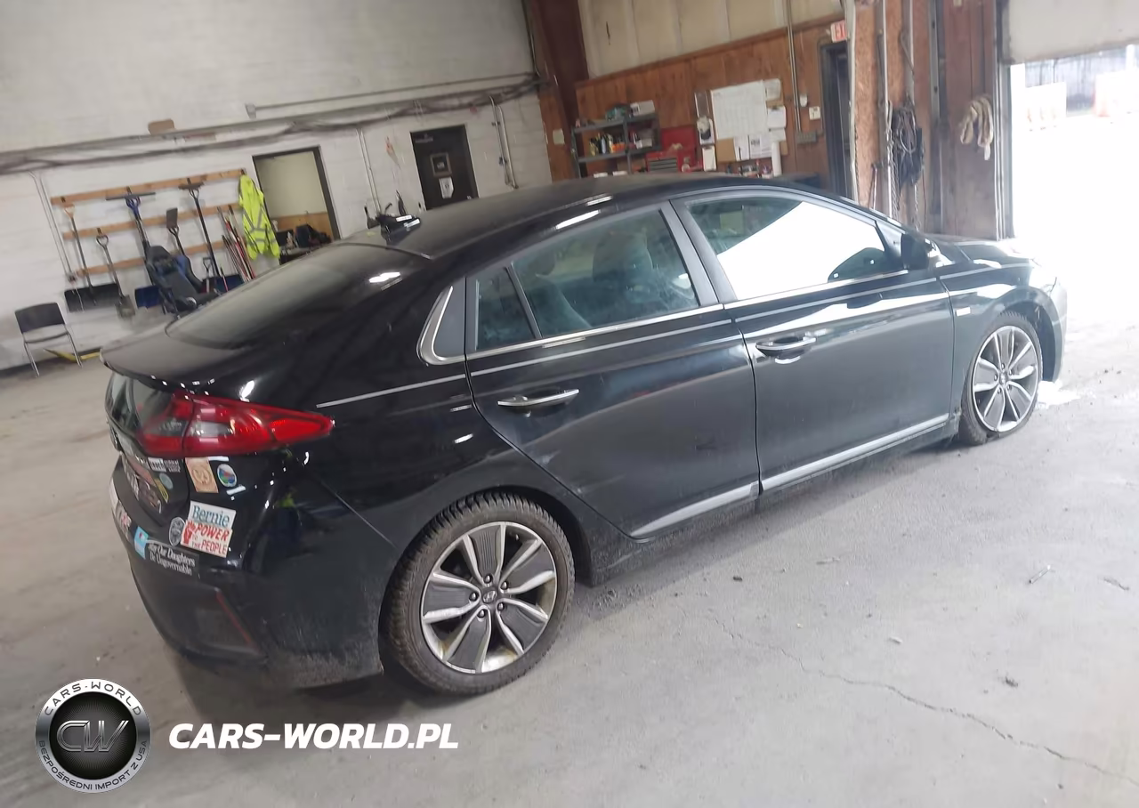2019 Hyundai Ioniq Hybrid Limited VIN:KMHC85LC0KU128741 - 4